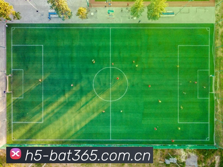 bat365入口未来发展